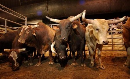 Black Rodeo in Los Angeles